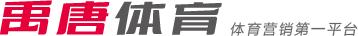引言