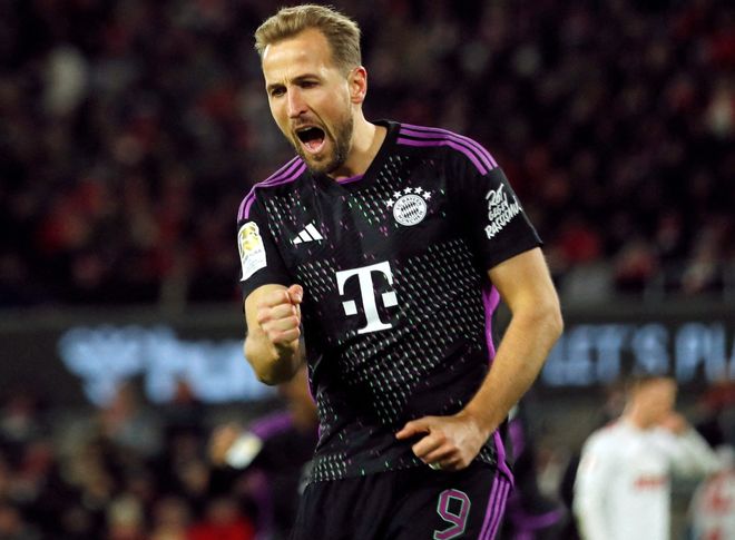 了不折不扣 了不折不扣